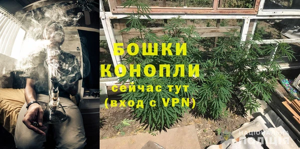 бошки Алексин