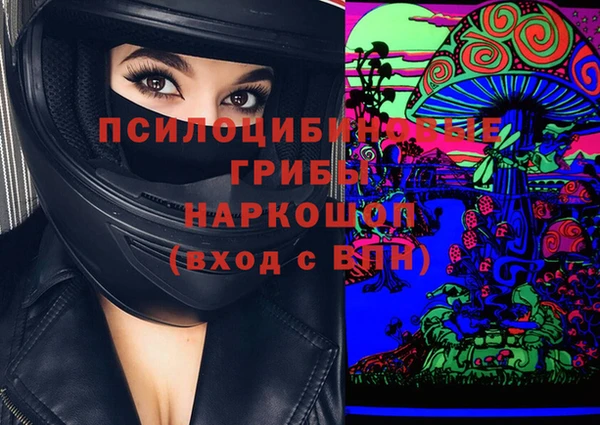 бошки Алексин