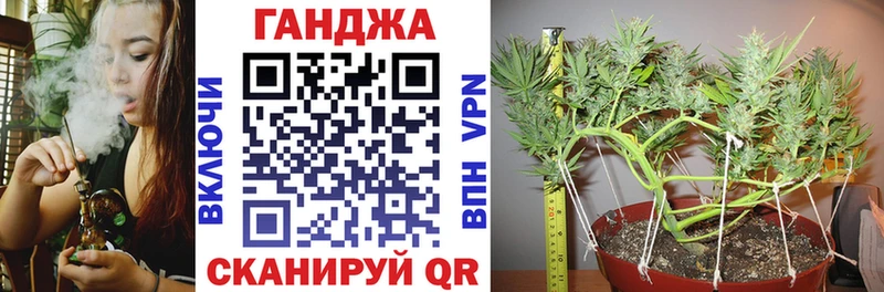 сайты даркнета состав  Балашиха  Бошки марихуана индика  магазин продажи  